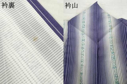平和屋着物＊夏物 小紋 絽 花間道 暈し染め 洗える着物 AABH1937ck