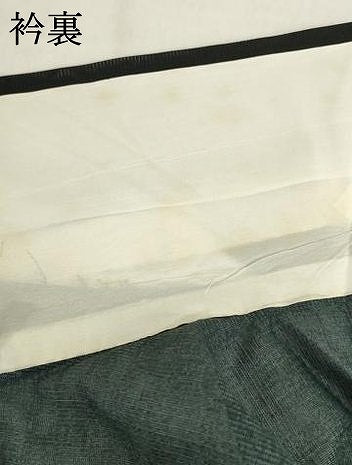平和屋着物＊夏物 訪問着 絽 花蝶文 黒地 洗える着物 AABH1938ck