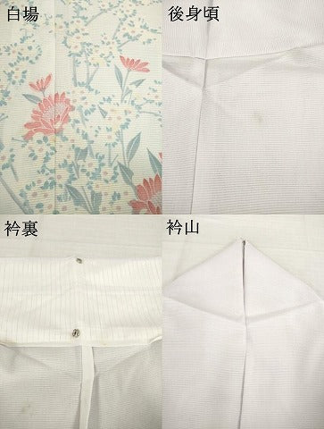 平和屋着物＊夏物 訪問着 絽 草花文 洗える着物 AABH1953ck