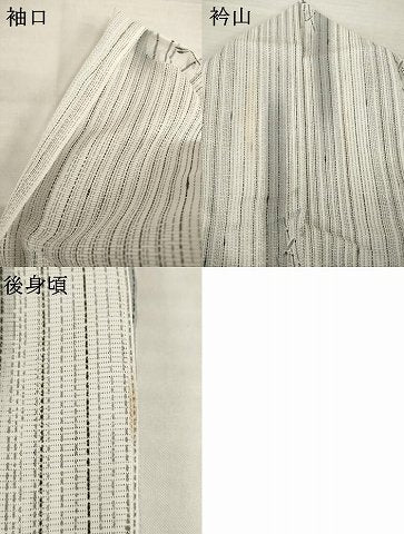 平和屋着物＊夏物 小紋 絽 蜻蛉 トンボ 洗える着物 AABH1954ck