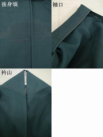 平和屋着物＊夏物 訪問着 絽 手描き 草花文 銀彩 正絹 逸品 AABH1973ck