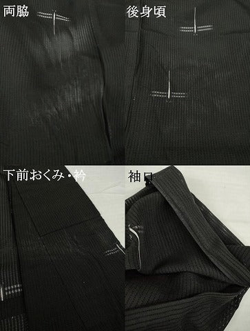平和屋着物＊夏物 絽芭蕉 縦絽 トンボ 蜻蛉 黒地 正絹 逸品 AABH1979ck