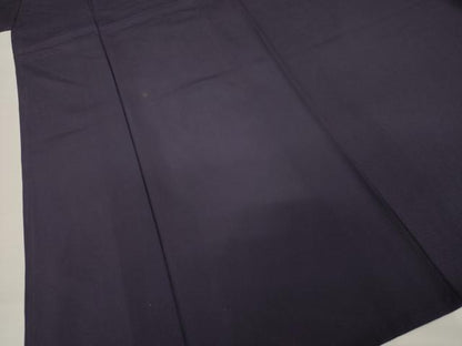 平和屋着物＊夏物 色無地 絽 黒紅色 正絹 逸品 AABH1992ck