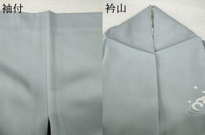 平和屋着物＊夏物　訪問着　絽　友禅　駒刺繍　立波文　暈し染め　銀彩　正絹　逸品　AABH1999ck