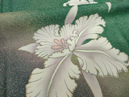 平和屋着物＊夏物 訪問着 絽 舞花文 暈し染め 金彩 洗える着物 AABH2099ck