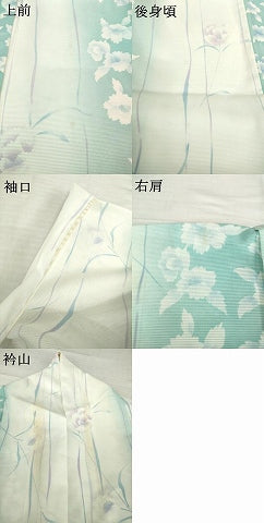 平和屋着物＊夏物 小紋 絽 花間道 洗える着物 AABH2123ck