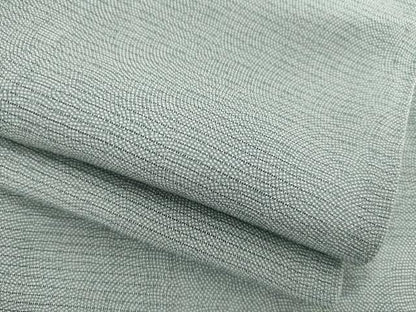平和屋着物＊夏物 江戸小紋 絽 極小鮫小紋柄 正絹 逸品 未使用 AABH2129ck