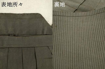 平和屋着物＊夏物 男性 行灯袴 縞 正絹 逸品 AABH2144ck