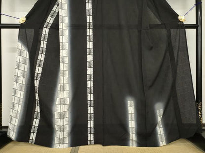 平和屋着物＊夏物　訪問着　変わり絽　間道　暈し染め　黒地　正絹　逸品　未使用　AABH2146ck