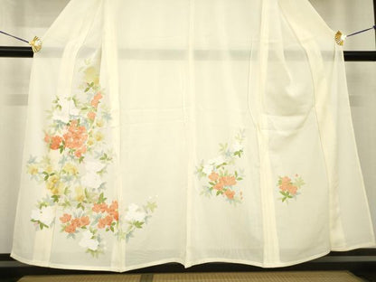平和屋着物＊夏物 訪問着 絽 友禅 草花文 正絹 逸品 AABH2151ck