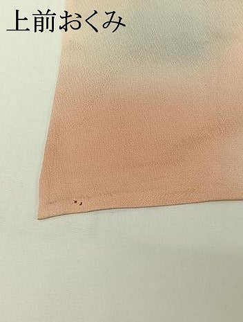 平和屋着物▽上質な小紋 単衣 正倉院花文 暈し染め 正絹 逸品 AABH2226jh