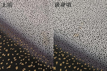 平和屋着物▽訪問着　単衣　箔散らし文様　暈し染め　金彩　洗える着物　AABH2301jh