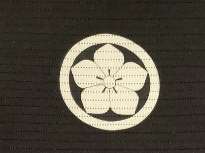 平和屋着物＊夏物 男性 黒紋付 羽織セット 絽 正絹 逸品 AABH2442jd