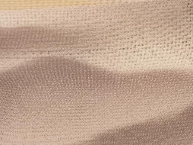平和屋着物＊夏物 訪問着 変わり絽 風景文 暈し染め 正絹 逸品 AABH2506jd