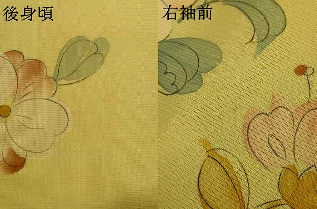 平和屋着物＊夏物 小紋 絽 手描き 草花文 正絹 逸品 AABH2516jd