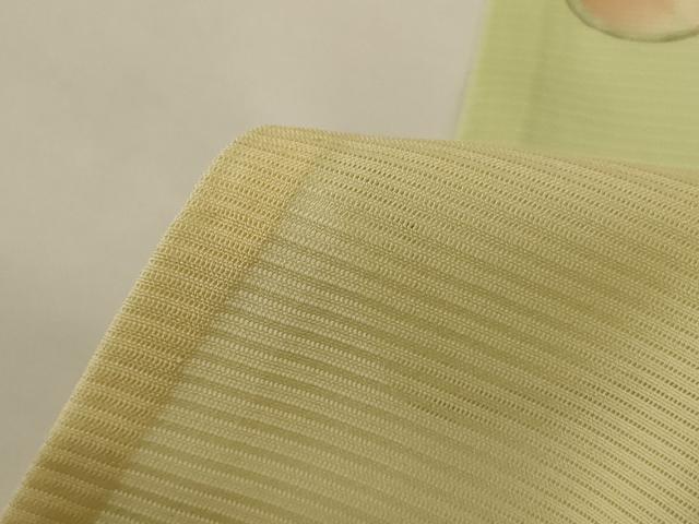 平和屋着物＊夏物 小紋 絽 手描き 草花文 正絹 逸品 AABH2516jd