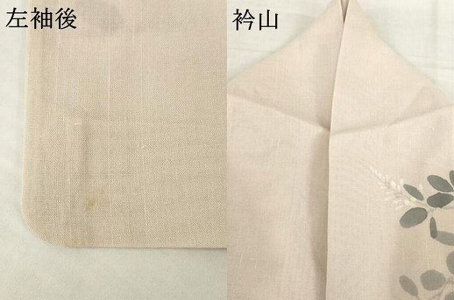 平和屋着物＊夏物 訪問着 枝花文 正絹 逸品 AABH2561ck