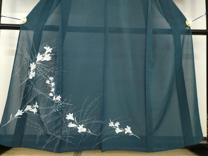 平和屋着物＊夏物 訪問着 絽 草花文 正絹 逸品 AABH2566ck