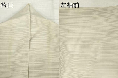 平和屋着物＊夏物　訪問着　変わり絽　笹文　洗える着物　AABH2575ck
