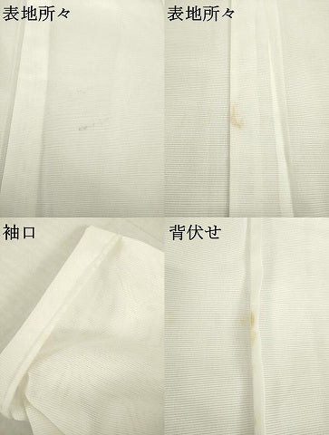 平和屋着物＊夏物 訪問着 絽 飛鶴文 洗える着物 AABH2588ck