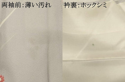 平和屋着物■訪問着　友禅　草花文　牡丹　暈し染め　正絹　逸品　AABH2693ja