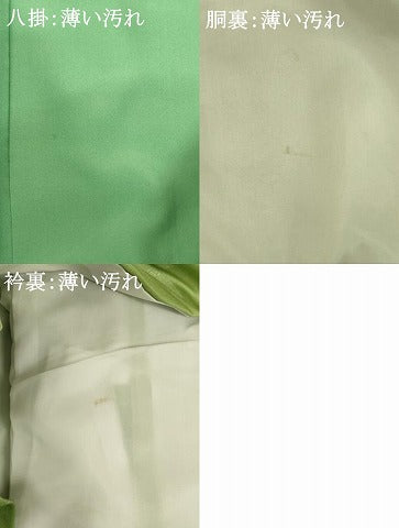 平和屋着物■上質な小紋 枝花地紋 暈し染め 正絹 逸品 未使用 AABH2758ja
