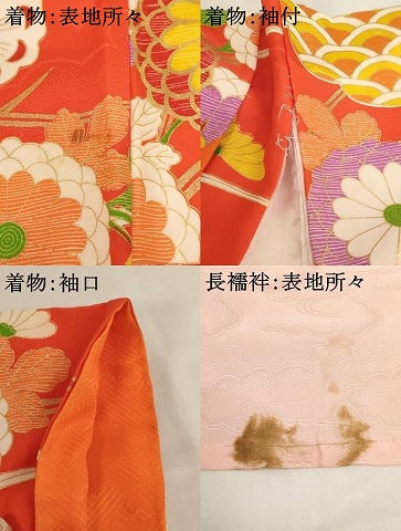 平和屋着物[]七五三　女の子　5歳　祝着・長襦袢セット　花蝶文　菊　金彩　洗える着物　AABH2864ja