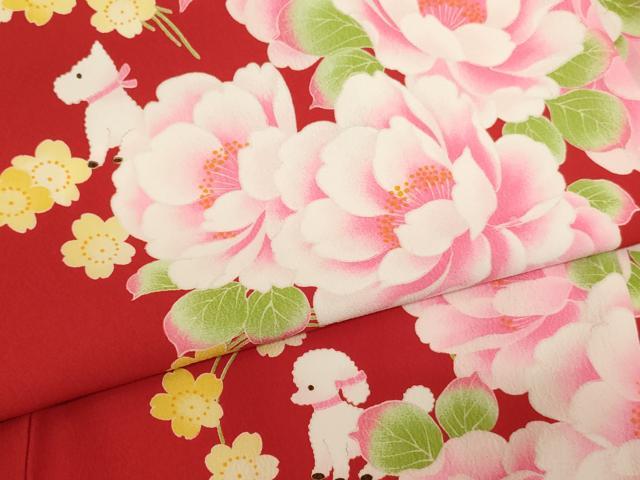 平和屋着物[]七五三　女の子　７歳　祝着　四つ身　pom ponette　舞花文　犬　洗える着物　AABH2967ja