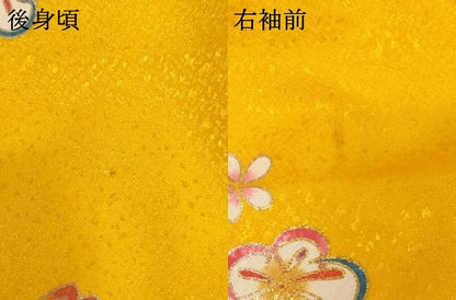 平和屋着物[]七五三　女の子　5歳　祝着　鴛鴦花文　暈し染め　金彩　AABH3000ja