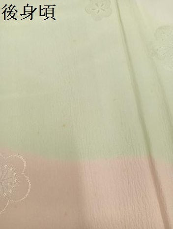 平和屋着物●長襦袢　無双仕立て　梅地紋　暈し染め　半衿刺繍　正絹　逸品　AABH3012ph
