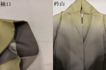 平和屋着物●訪問着　手描き　草花文　暈し染め　金彩　正絹　逸品　AABH3039ph