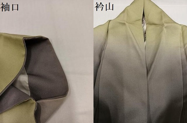 平和屋着物●訪問着　手描き　草花文　暈し染め　金彩　正絹　逸品　AABH3039ph