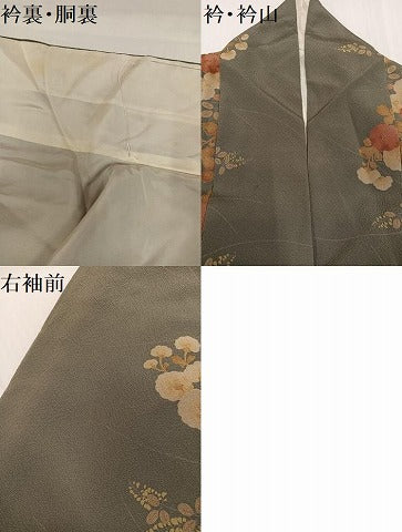 平和屋着物●訪問着　草花文　金彩　正絹　逸品　AABH3042ph