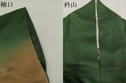 平和屋着物●訪問着　江戸小紋　鮫小紋柄　正絹　逸品　AABH3108ph