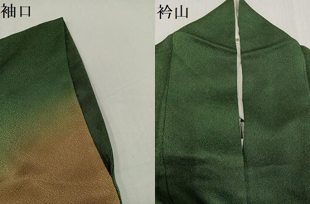 平和屋着物●訪問着　江戸小紋　鮫小紋柄　正絹　逸品　AABH3108ph