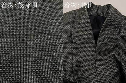 平和屋着物●男性　男柄の最高峰　西郷柄　西郷絣　本場大島紬　アンサンブル　正絹　逸品　AABH3127ph