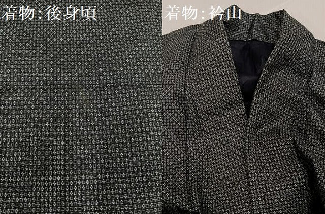 平和屋着物●男性　男柄の最高峰　西郷柄　西郷絣　本場大島紬　アンサンブル　正絹　逸品　AABH3127ph