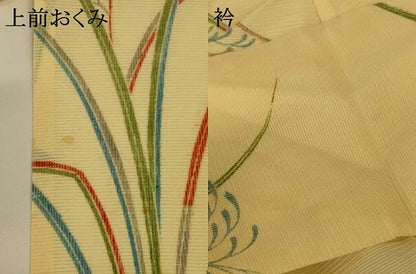 平和屋着物＊夏物 小紋 絽 草葉文 正絹 逸品 AABH3172jd