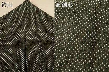 平和屋着物＊夏物　小紋　絽　蚊絣文様　洗える着物　AABH3221jd