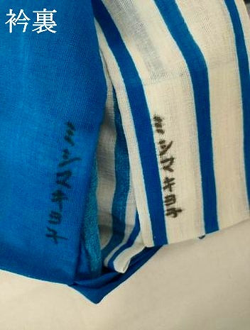 平和屋着物＊夏物 訪問着 紗 舞鶴文 片身替わり 洗える着物 AABH3228jd