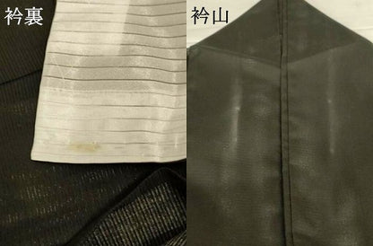 平和屋着物＊夏物 訪問着 絽 草花文 洗える着物 AABH3245jd