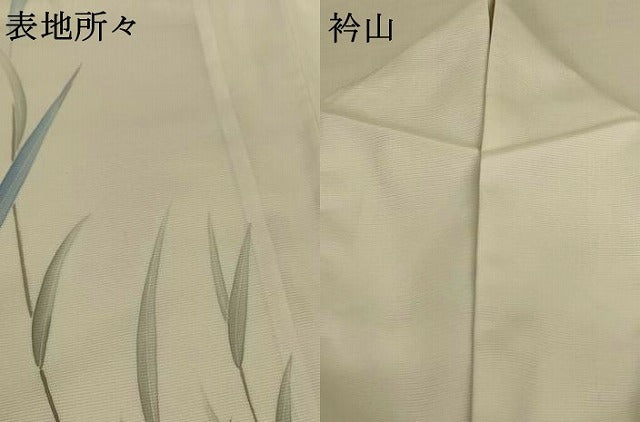平和屋着物＊夏物 訪問着 絽 草葉文 洗える着物 AABH3255jd