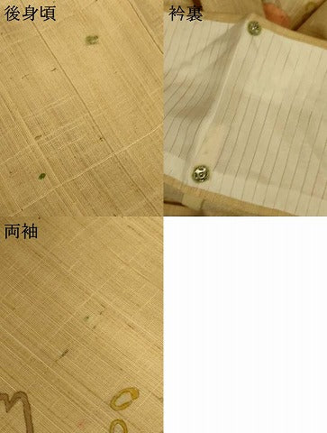 平和屋着物＊夏物　生紬　枝花文　正絹　逸品　AABH3259jd
