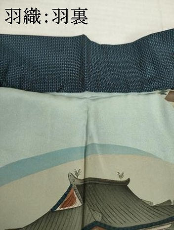 平和屋着物●男性　本場大島紬　アンサンブル　100亀甲　総詰め　正絹　逸品　AABH3304ck