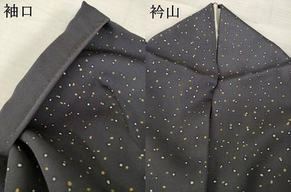 平和屋着物●訪問着　箔散らし文様　金彩　正絹　逸品　AABH3320ck