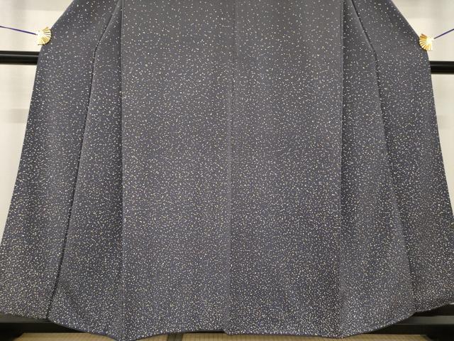 平和屋着物●訪問着　箔散らし文様　金彩　正絹　逸品　AABH3320ck