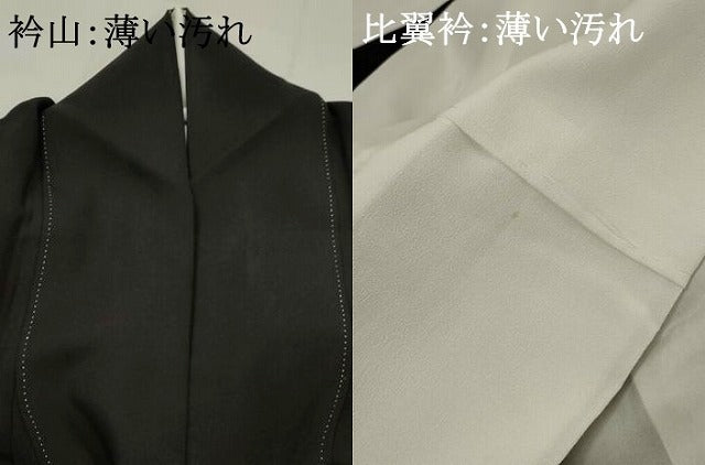 平和屋着物■豪華黒留袖 風景飛鶴花文 金彩 正絹 逸品 AABH3375st