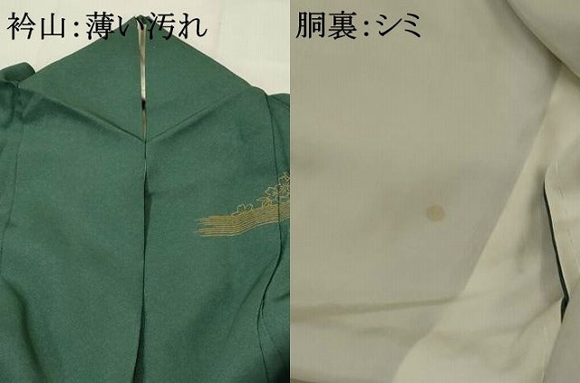 平和屋着物■訪問着 刺繍 草花文 金彩 正絹 逸品 AABH3381st