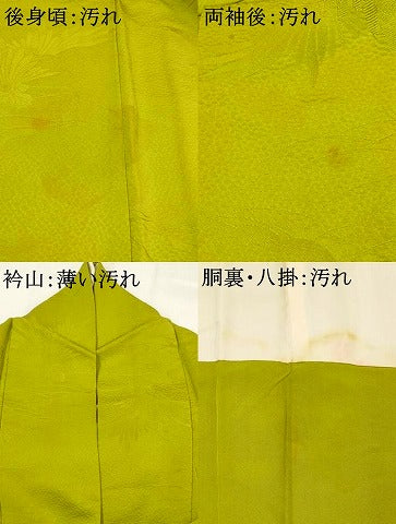平和屋着物■上質な色無地 草葉地紋 鶯色 正絹 逸品 AABH3382st