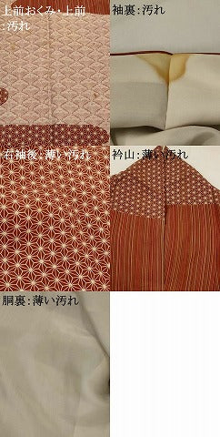 平和屋着物■訪問着 江戸小紋 作家物 青海波文 正絹 逸品 AABH3383st